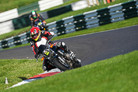 cadwell-no-limits-trackday;cadwell-park;cadwell-park-photographs;cadwell-trackday-photographs;enduro-digital-images;event-digital-images;eventdigitalimages;no-limits-trackdays;peter-wileman-photography;racing-digital-images;trackday-digital-images;trackday-photos